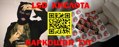 гашик Владимир