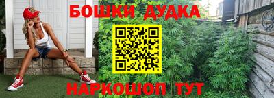 гашик Владимир