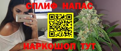 гашик Владимир