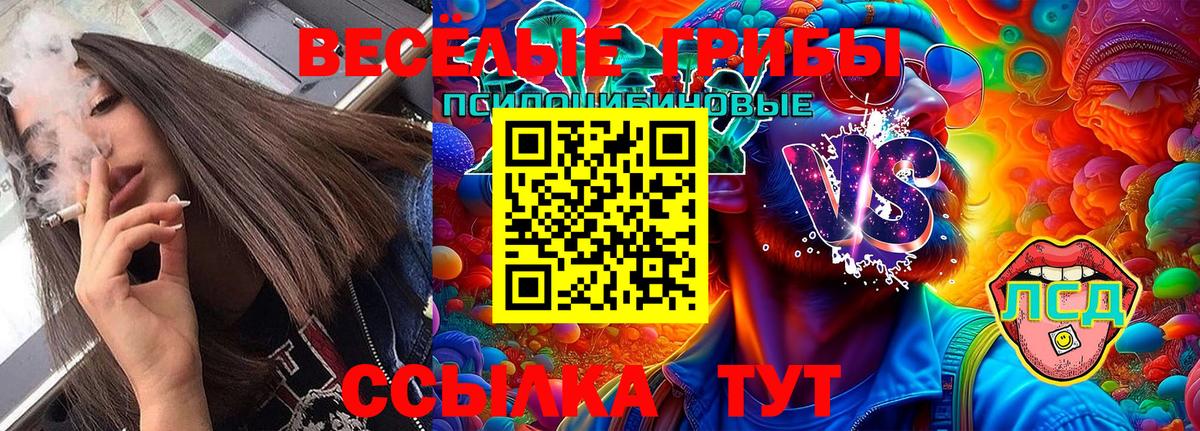 Ангарск  Галлюциногенные грибы Cubensis  купить закладку  Вход с VPN 